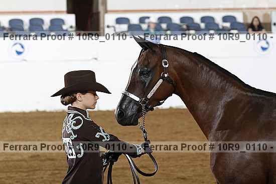 Proof 10r9_0110