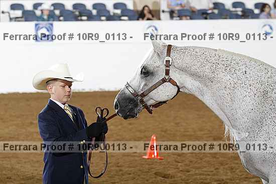 Proof 10r9_0113