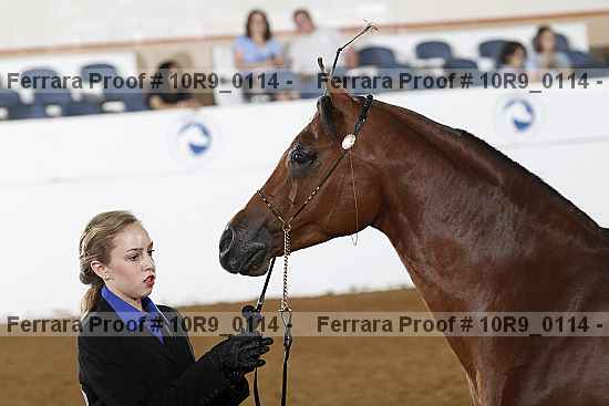Proof 10r9_0114