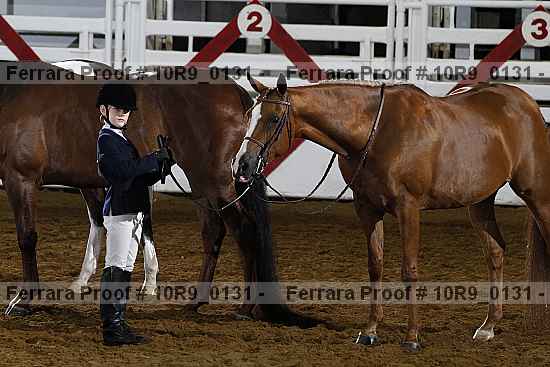 Proof 10r9_0131
