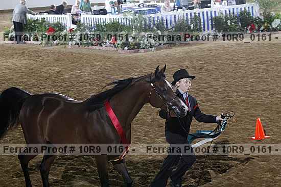 Proof 10r9_0161