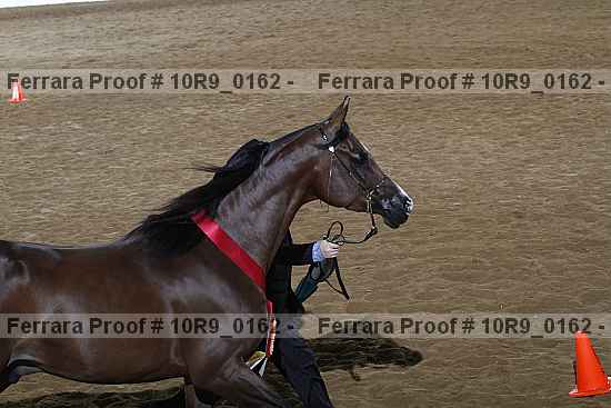Proof 10r9_0162