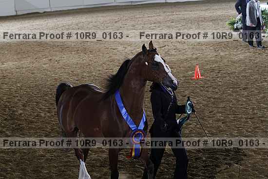 Proof 10r9_0163
