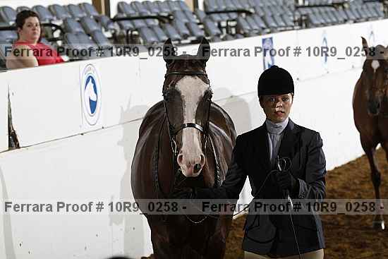Proof 10r9_0258