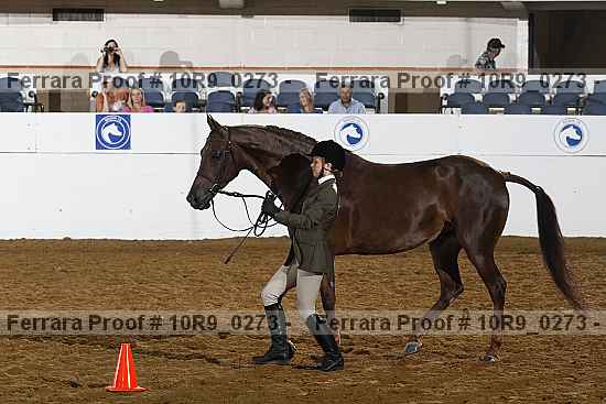 Proof 10r9_0273
