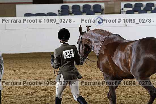 Proof 10r9_0278