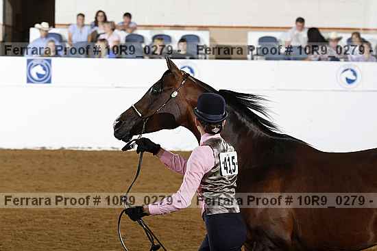 Proof 10r9_0279