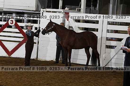 Proof 10r9_0283