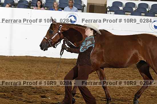 Proof 10r9_0284