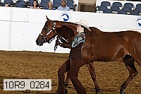 10r9_0284 proof