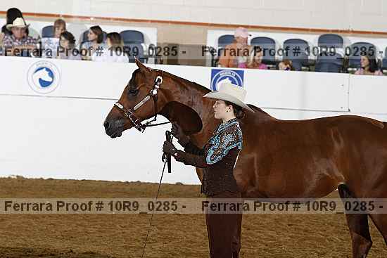 Proof 10r9_0285
