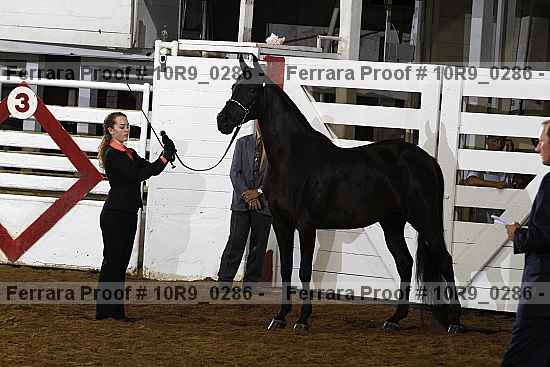Proof 10r9_0286