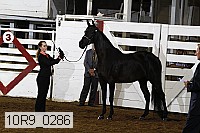 10r9_0286 proof