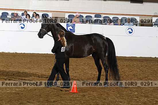 Proof 10r9_0291