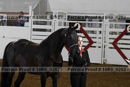 Proof 10r9_0292