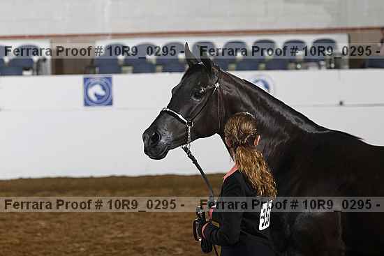 Proof 10r9_0295