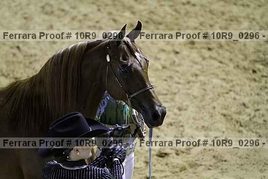 Proof 10r9_0296