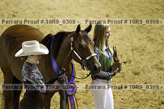 Proof 10r9_0309