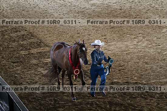 Proof 10r9_0311
