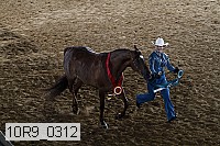 10r9_0312 proof
