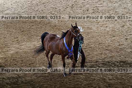 Proof 10r9_0313