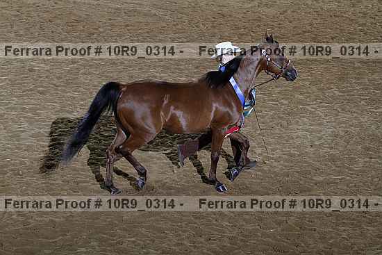 Proof 10r9_0314