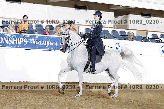 Proof 10r9_0230