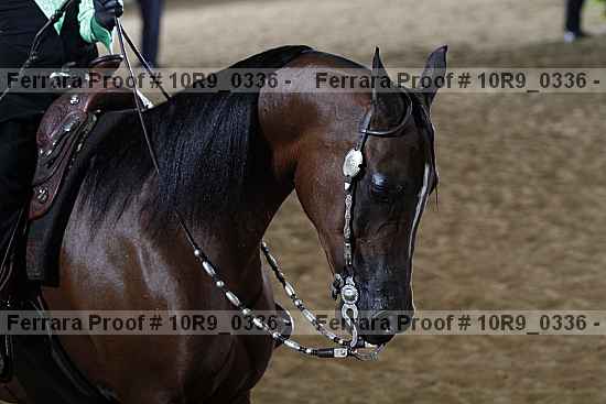 Proof 10r9_0336