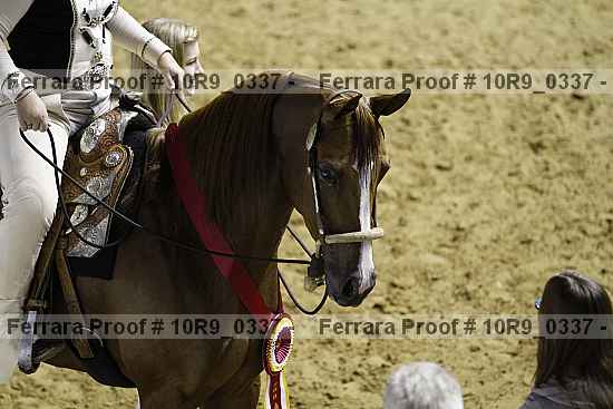 Proof 10r9_0337