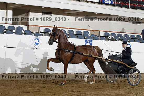 Proof 10r9_0340