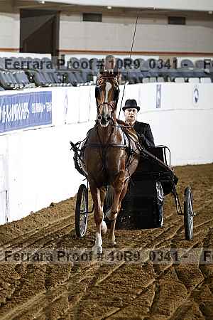 Proof 10r9_0341