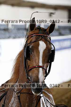 Proof 10r9_0342