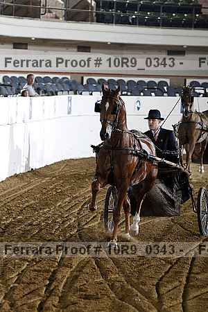 Proof 10r9_0343