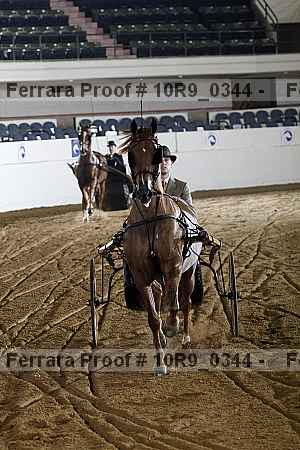 Proof 10r9_0344