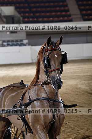 Proof 10r9_0345