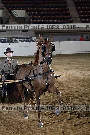 Proof 10r9_0346