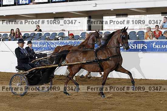 Proof 10r9_0347