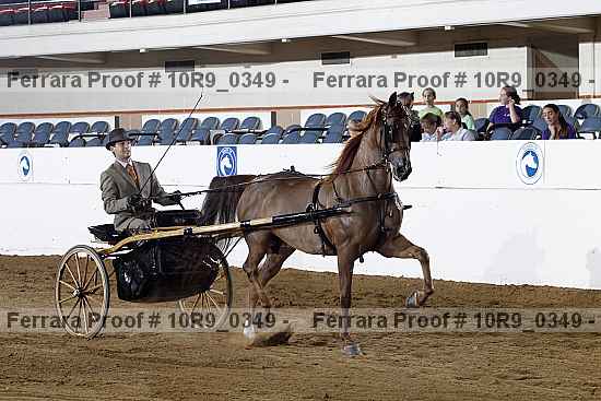Proof 10r9_0349
