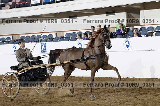 Proof 10r9_0351