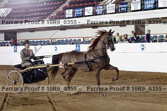 Proof 10r9_0355