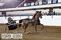 10r9_0355 proof