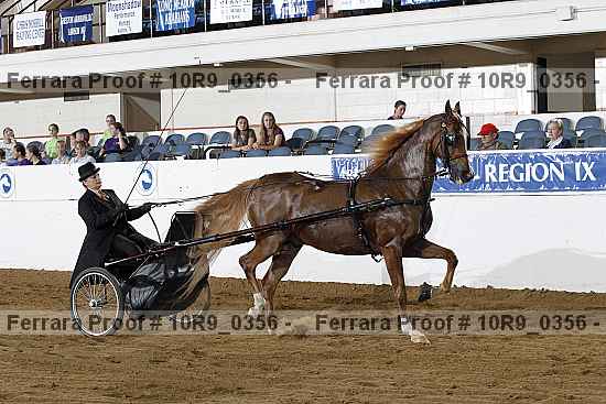 Proof 10r9_0356