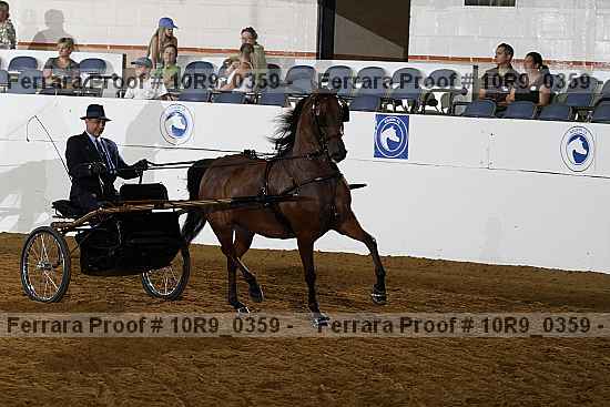 Proof 10r9_0359