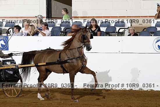 Proof 10r9_0361