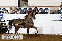 10r9_0361 proof