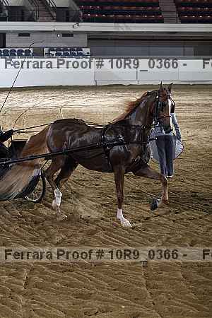 Proof 10r9_0366