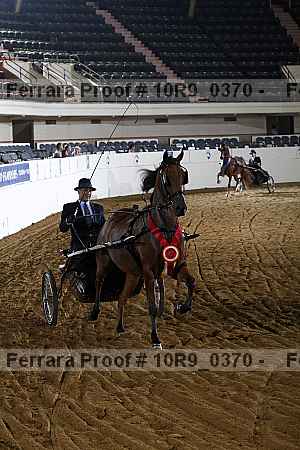 Proof 10r9_0370
