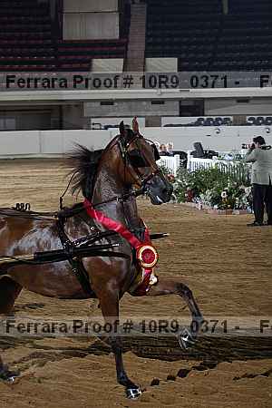 Proof 10r9_0371