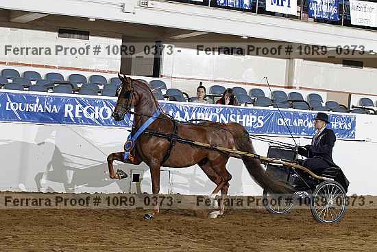Proof 10r9_0373