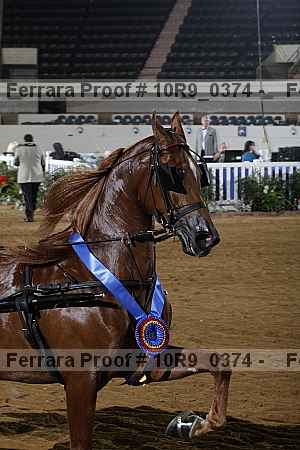Proof 10r9_0374